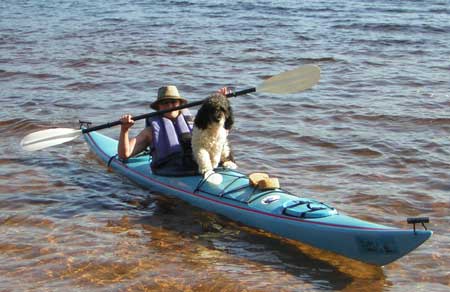 water dog kayaking