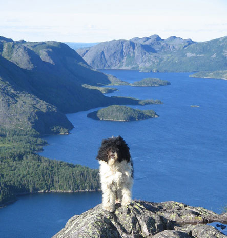 newfoundland coastal fiords